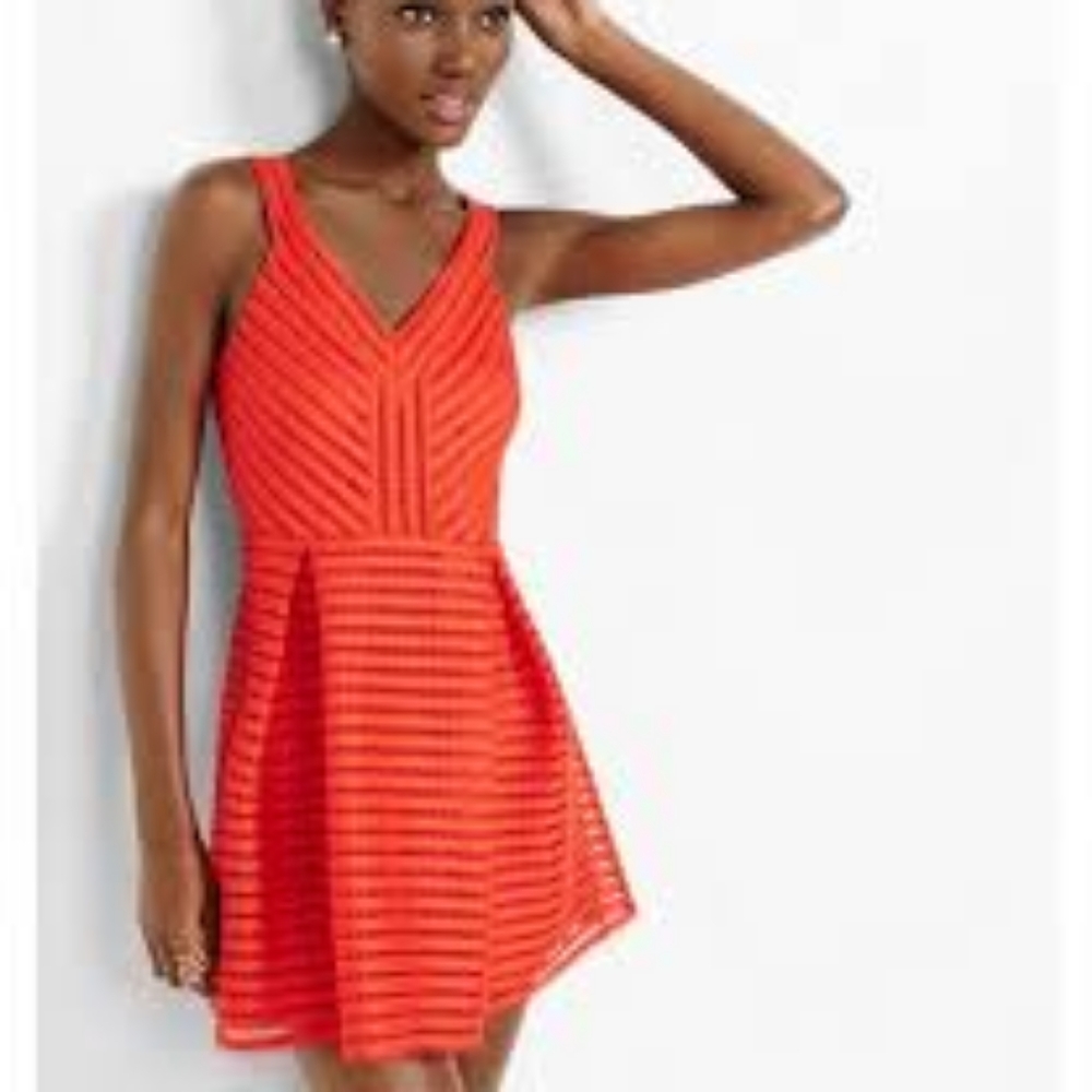 Express Double V Fit and Flare Dress